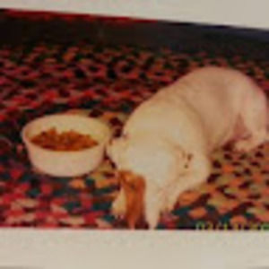 Meet your Posher, Jami